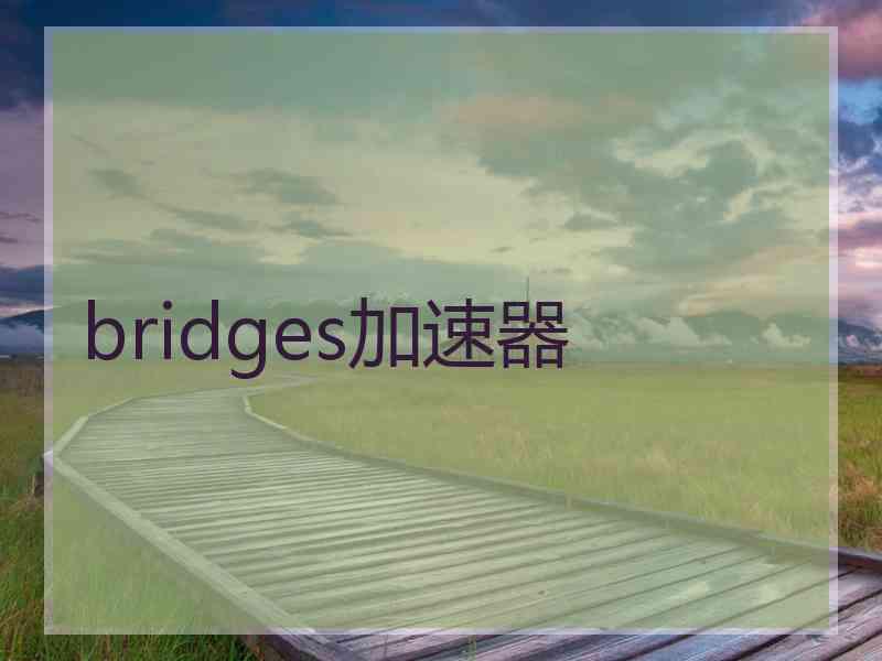 bridges加速器