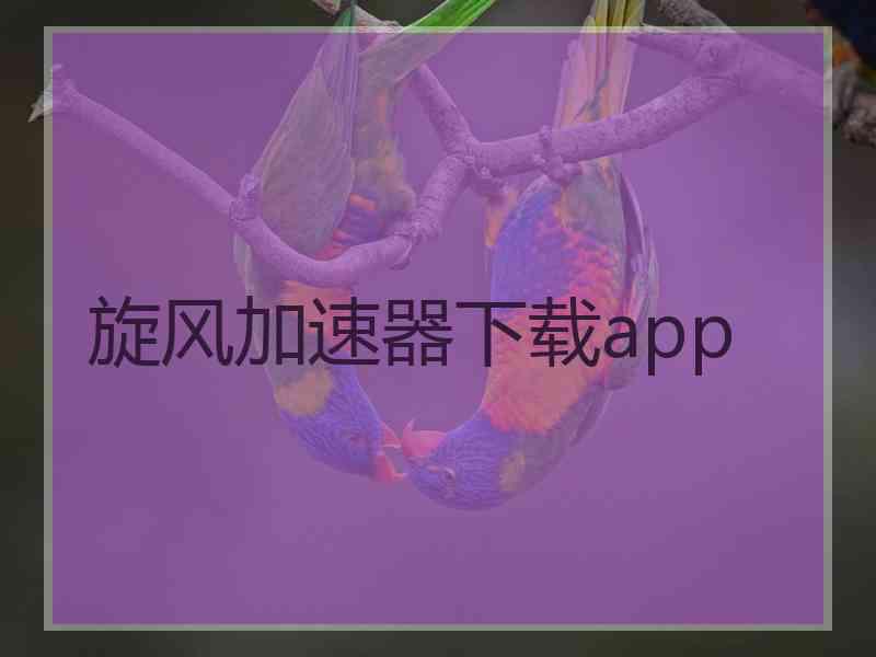 旋风加速器下载app