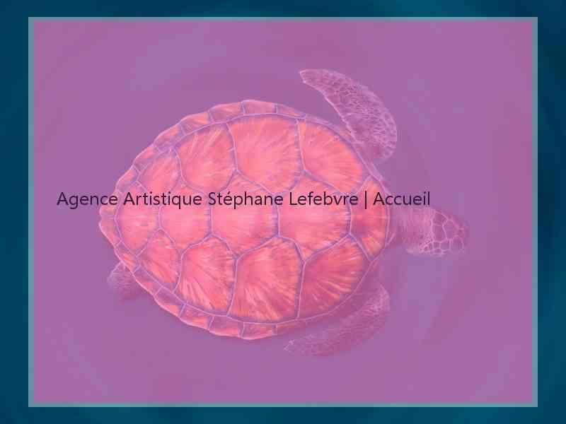 Agence Artistique Stéphane Lefebvre | Accueil