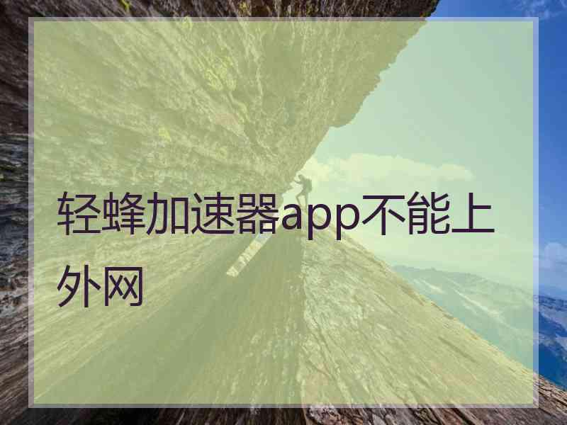 轻蜂加速器app不能上外网