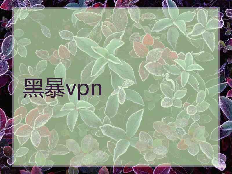 黑暴vpn