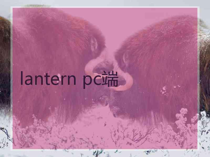 lantern pc端