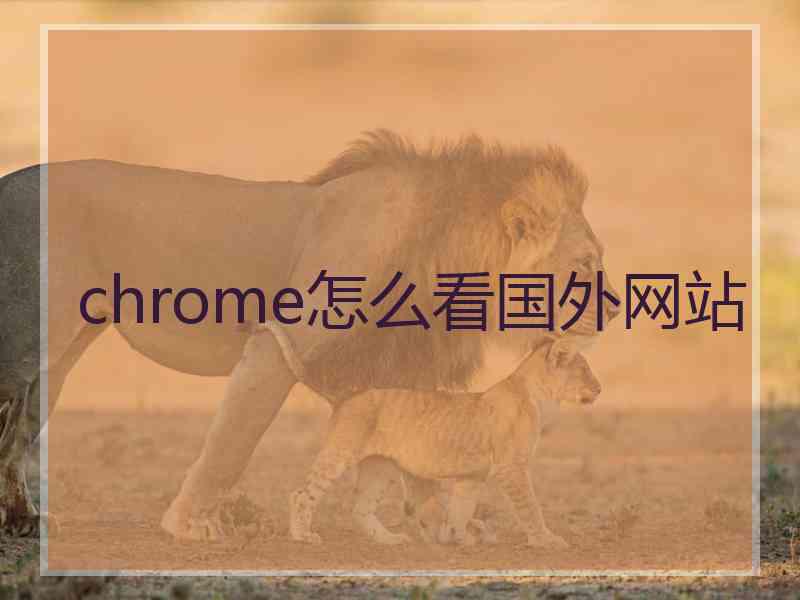 chrome怎么看国外网站