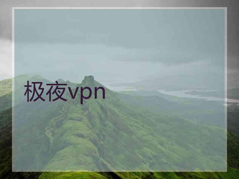 极夜vpn