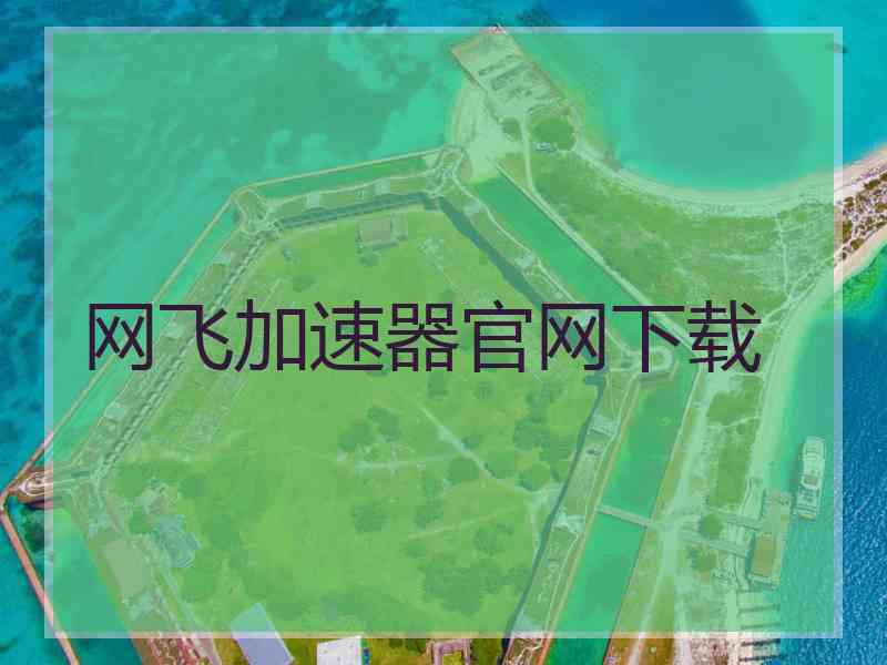 网飞加速器官网下载