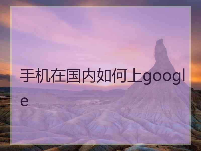 手机在国内如何上google