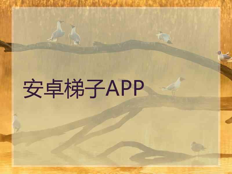 安卓梯子APP