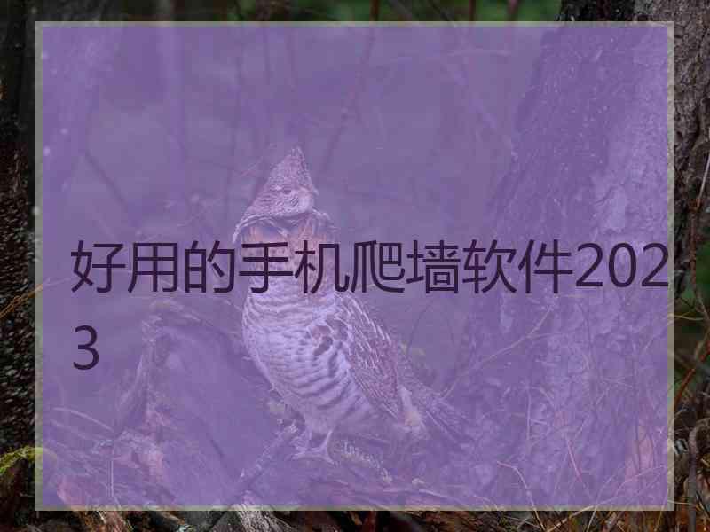 好用的手机爬墙软件2023