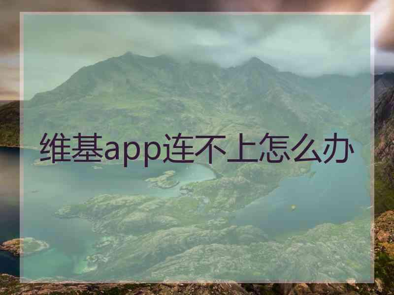 维基app连不上怎么办