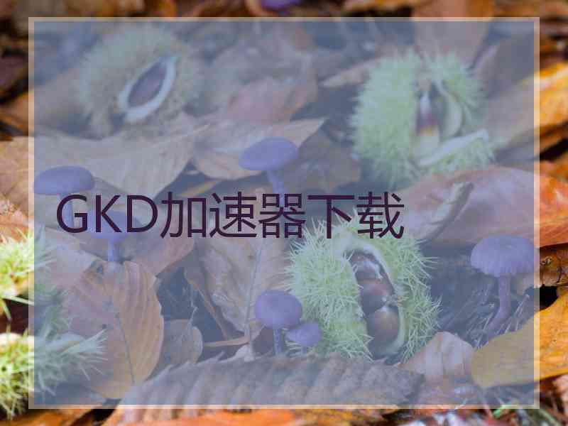 GKD加速器下载