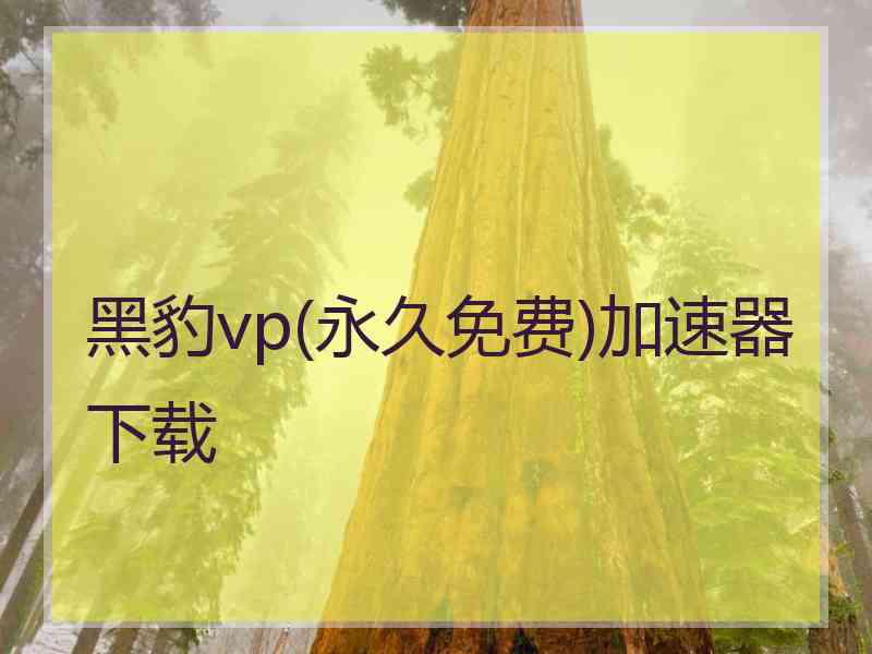 黑豹vp(永久免费)加速器下载