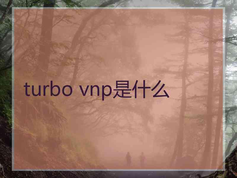 turbo vnp是什么