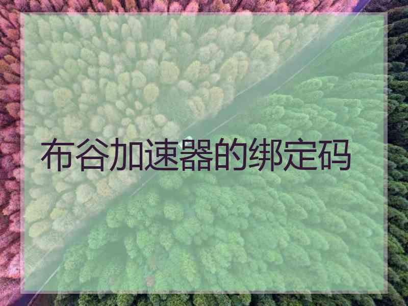 布谷加速器的绑定码