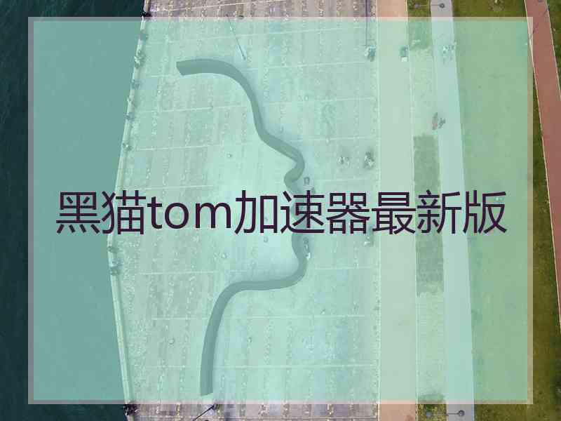 黑猫tom加速器最新版