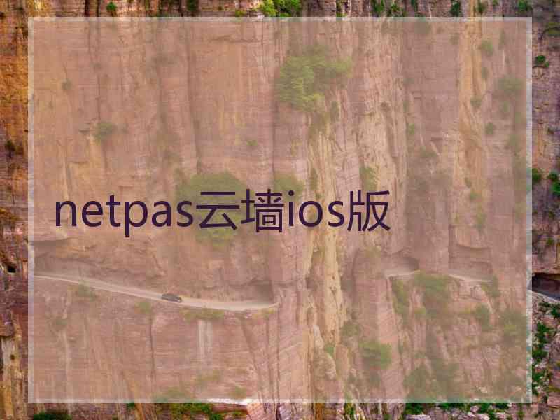 netpas云墙ios版