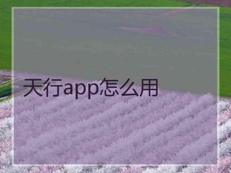 天行app怎么用