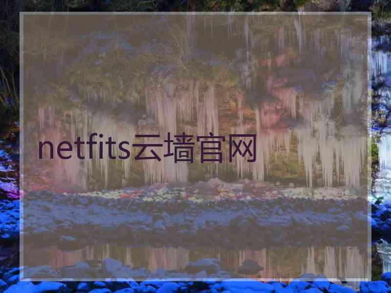 netfits云墙官网