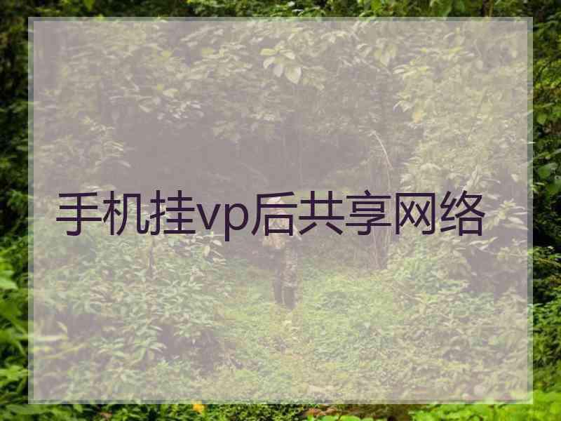 手机挂vp后共享网络