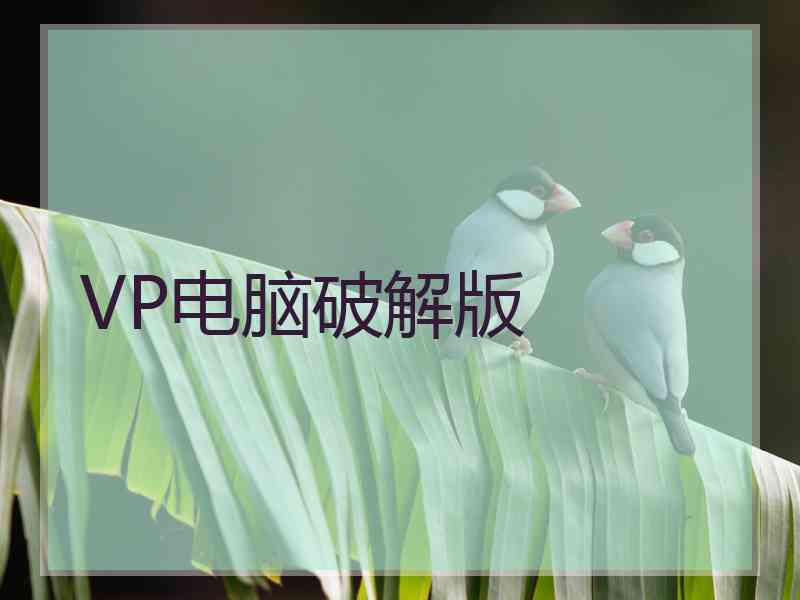 VP电脑破解版