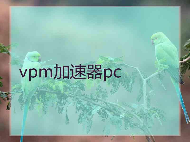 vpm加速器pc