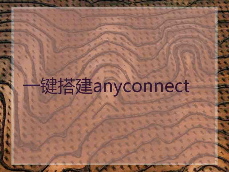 一键搭建anyconnect