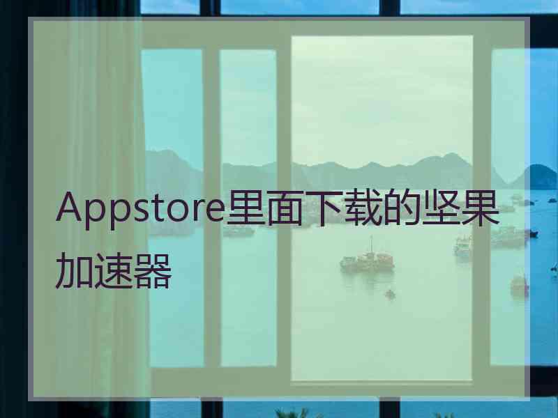 Appstore里面下载的坚果加速器