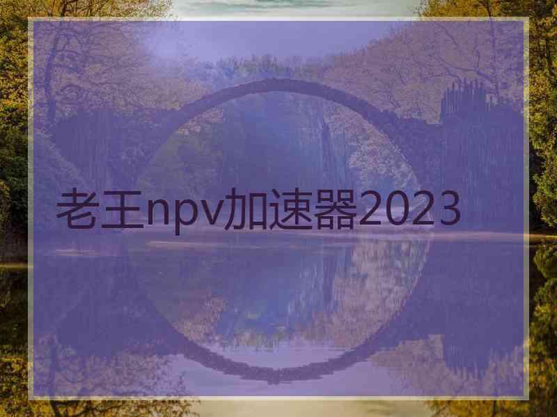 老王npv加速器2023