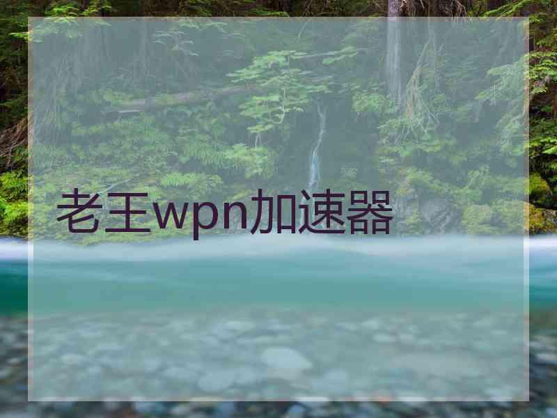 老王wpn加速器