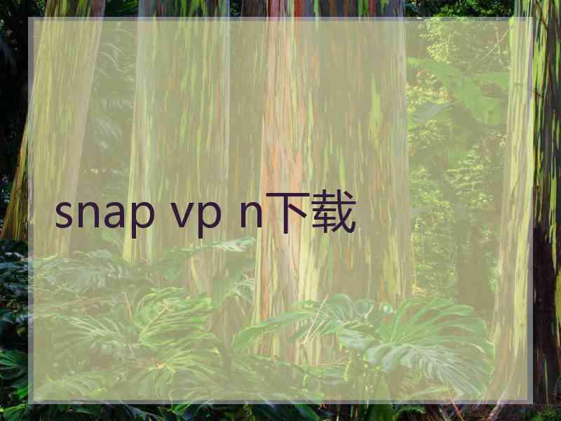 snap vp n下载