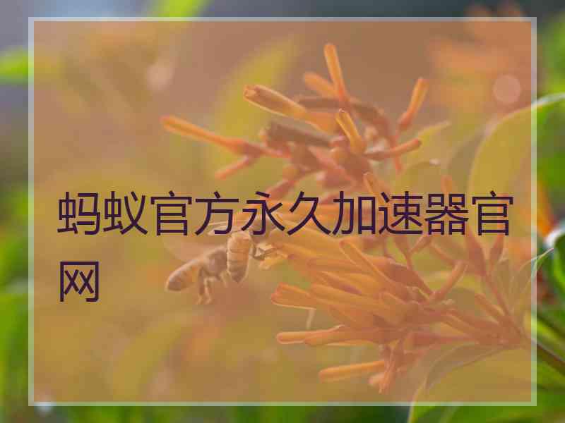 蚂蚁官方永久加速器官网