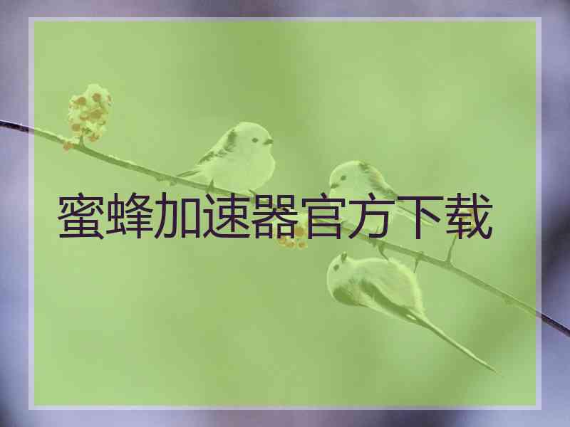 蜜蜂加速器官方下载