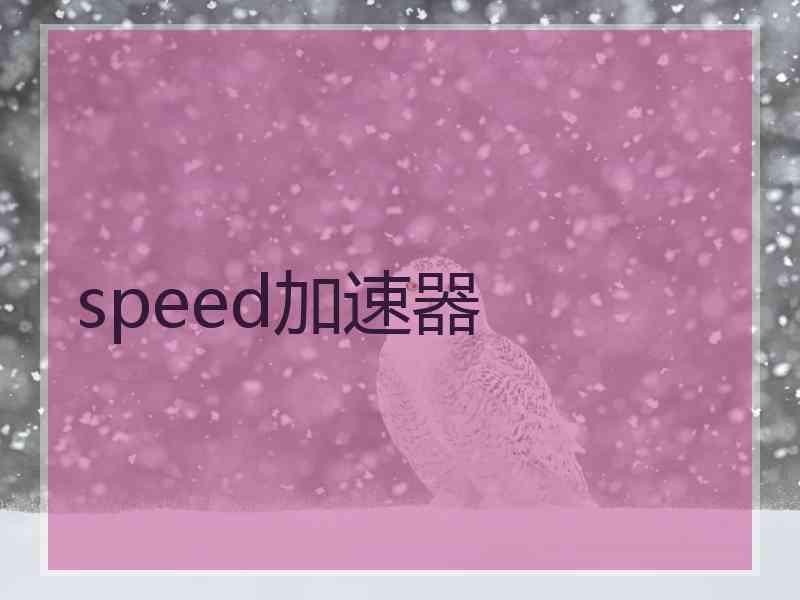 speed加速器