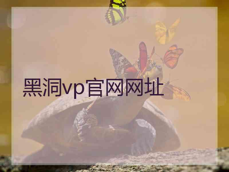 黑洞vp官网网址