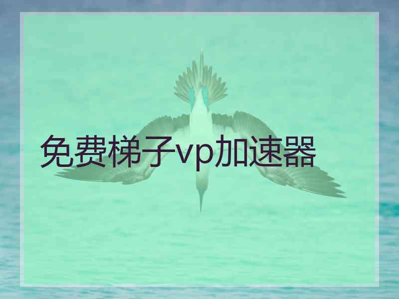 免费梯子vp加速器