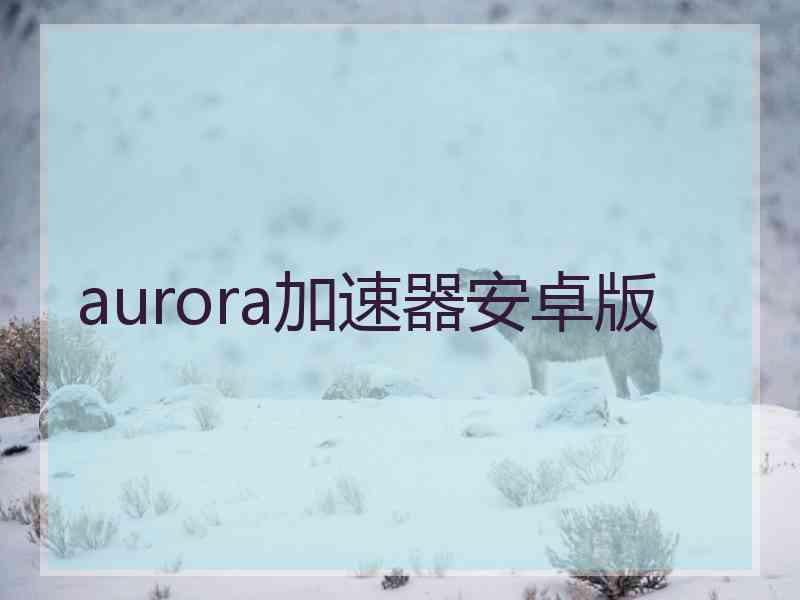 aurora加速器安卓版