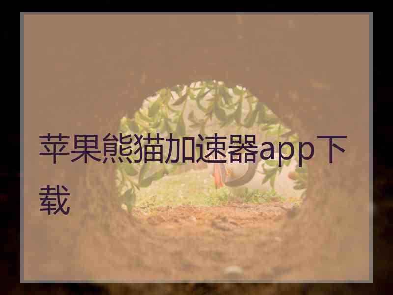 苹果熊猫加速器app下载