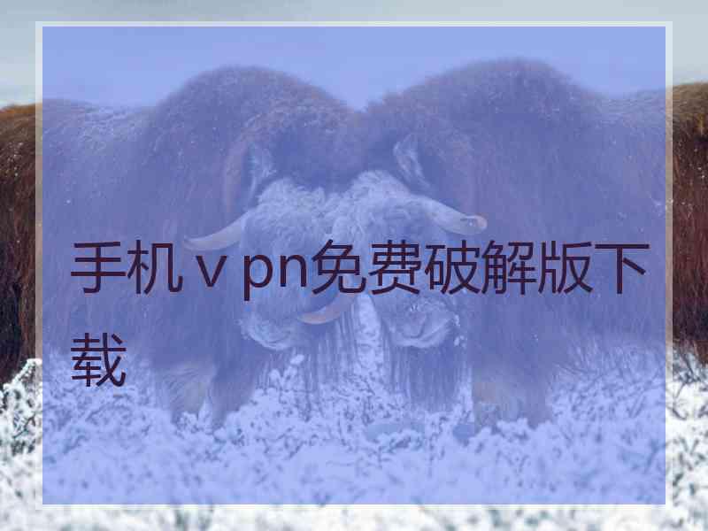 手机ⅴpn免费破解版下载