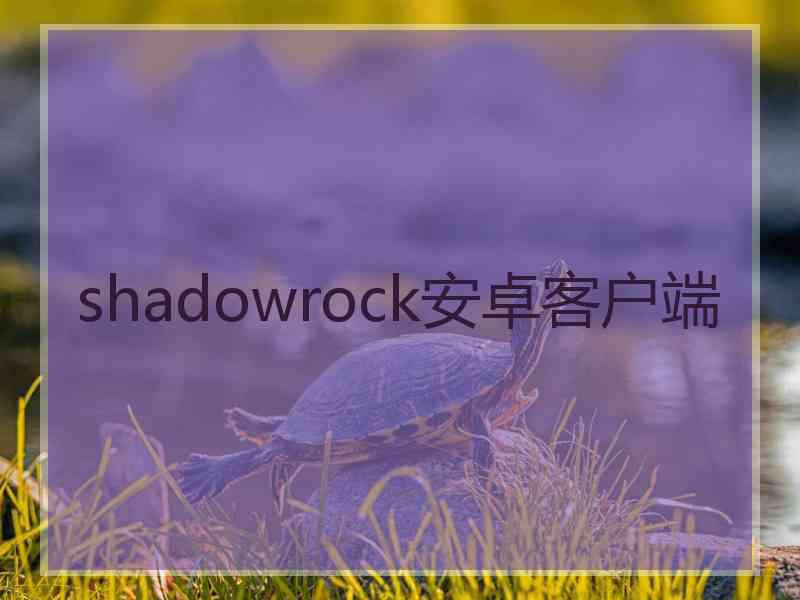 shadowrock安卓客户端