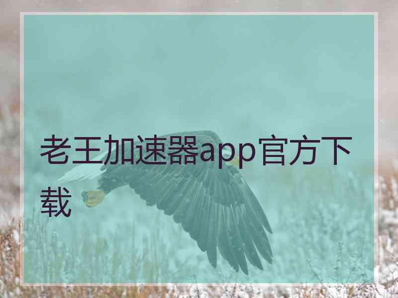 老王加速器app官方下载