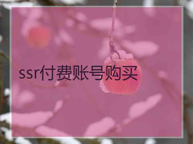 ssr付费账号购买