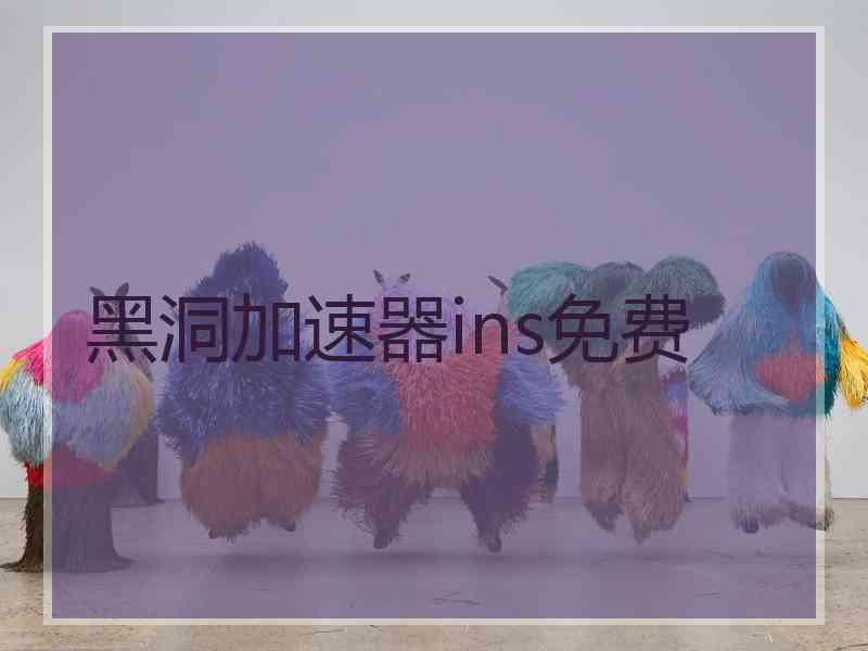 黑洞加速器ins免费