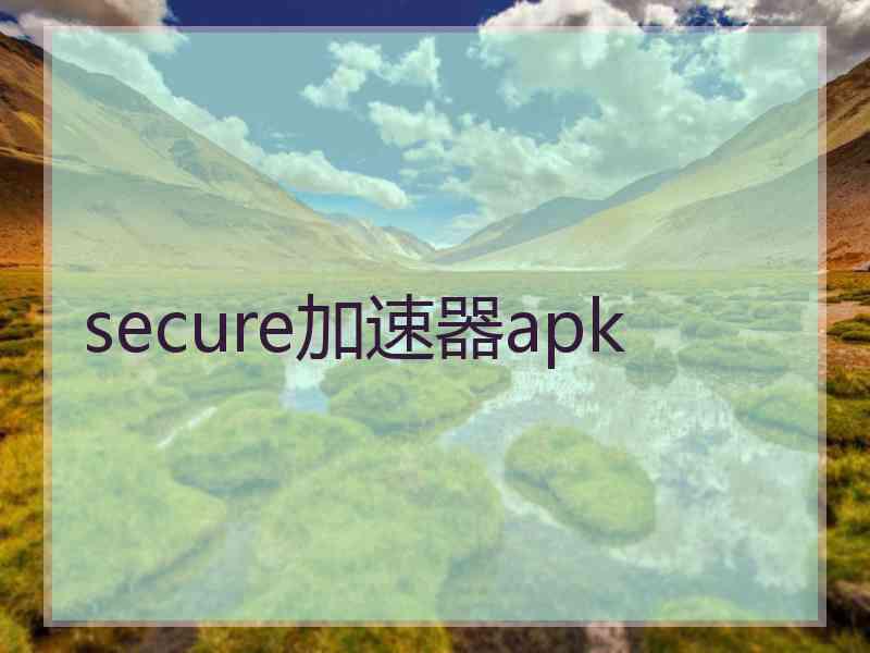 secure加速器apk