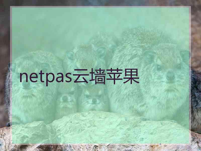 netpas云墙苹果