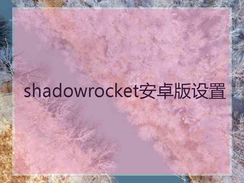 shadowrocket安卓版设置