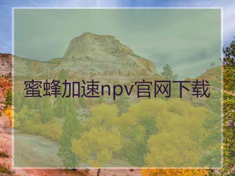 蜜蜂加速npv官网下载