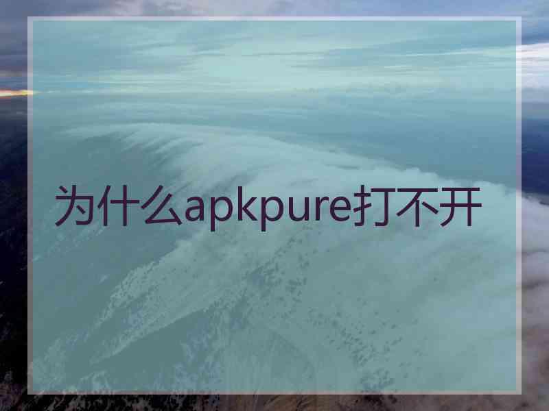 为什么apkpure打不开