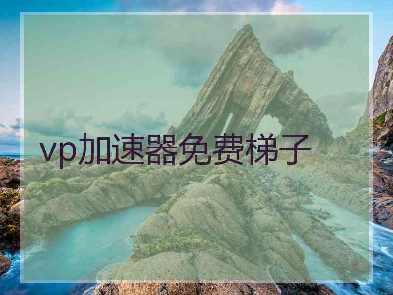 vp加速器免费梯子