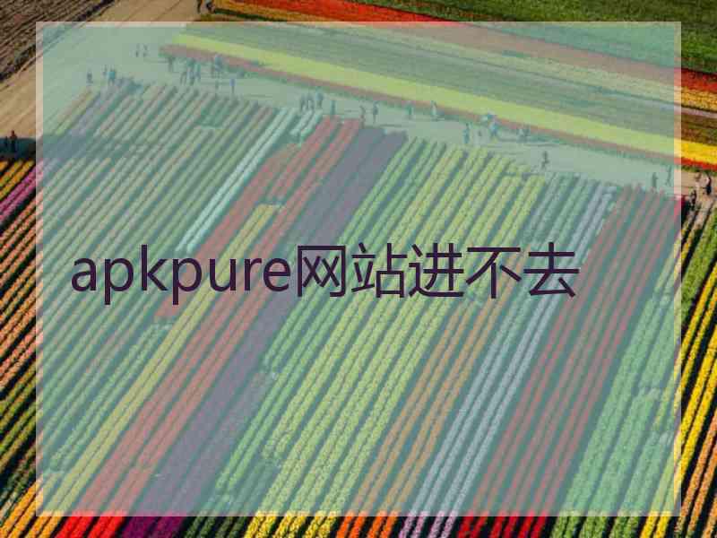 apkpure网站进不去