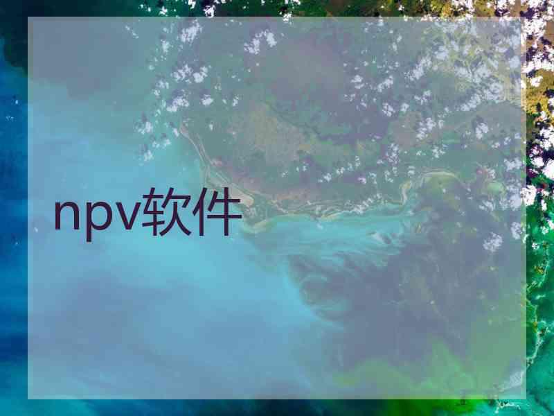 npv软件