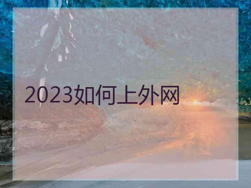 2023如何上外网